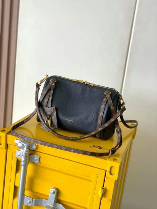 Picture of Louis Vuitton Handbags _SKUfw221094101fw